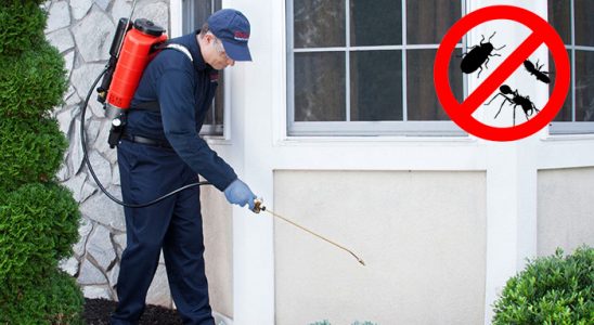 Serinhisar Dezenfeksiyon böcek ilaçlama ve haşere kontrolü — ilaclama-tr.com